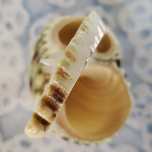 Carved Seashell with Rabbit - Picture 10 of 15